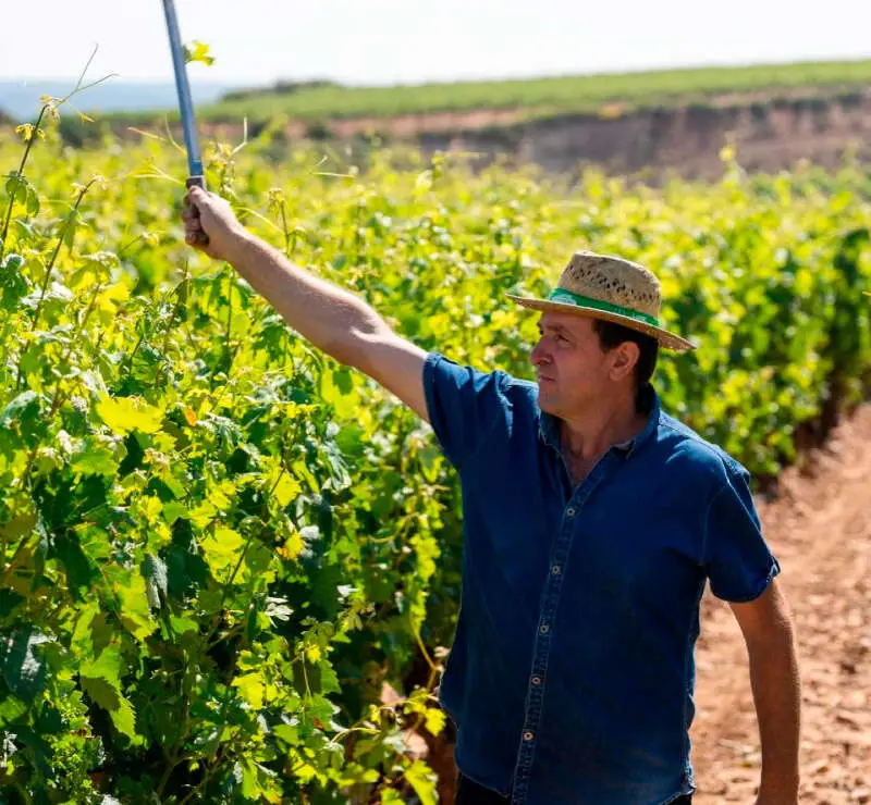 Legado Nosotros Somos Agricultores.jpg