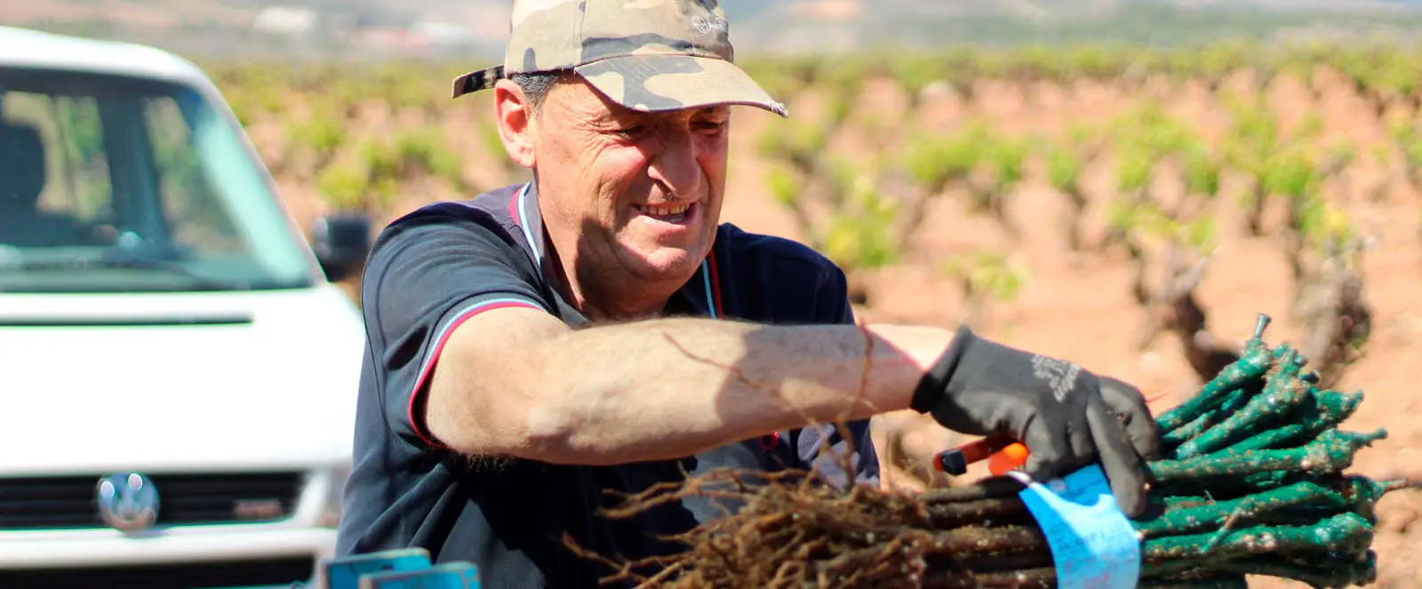 Legado Nuestros Vinos Detalle Angel.jpg